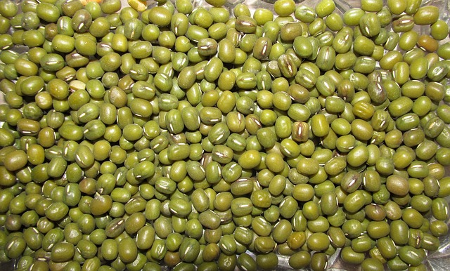 zelené fazole